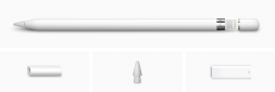 Стилус Apple Pencil (1-го поколения) с USB-C to Apple Pencil адаптером (MQLY3)