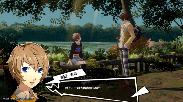 Persona 5 Royal [Nintendo Switch, английская версия] в Хабаровске