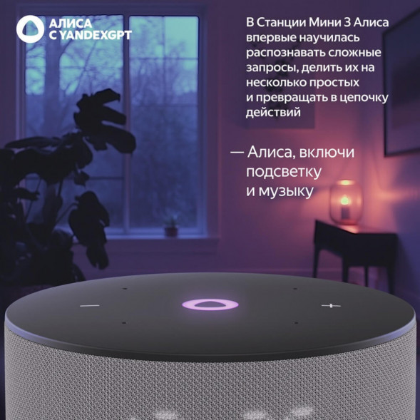 Умная колонка Яндекс Станция Мини 3 c Алисой на YandexGPT, серая в Хабаровске