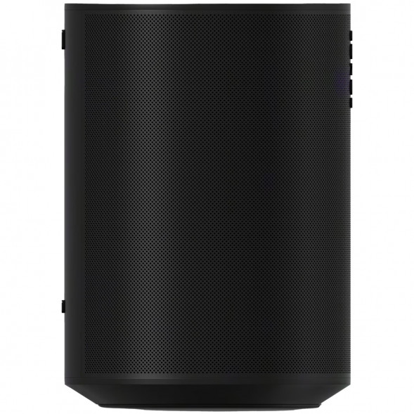 Умная колонка Sonos Era 100, черный в Хабаровске