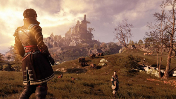 Игра GreedFall [PS4, русские субтитры] в Хабаровске
