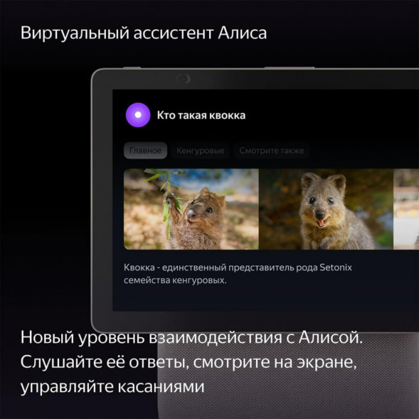 Яндекс Станция Дуо Макс с Алисой, с Zigbee, 60 Вт, бежевый в Хабаровске