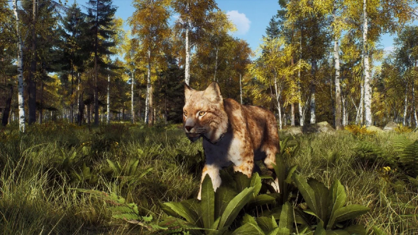 Игра Way of the Hunter: Wild Expeditions [PS5, русские субтитры] в Хабаровске