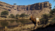 Игра Way of the Hunter: Wild Expeditions [PS5, русские субтитры] в Хабаровске