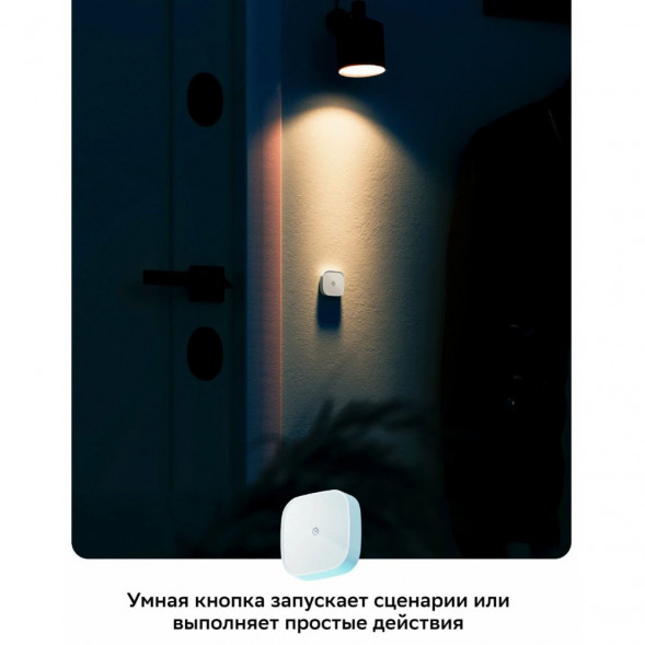 Умная кнопка Sber SBDV-00032 в Хабаровске