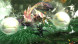 Игра Monster Hunter Generations Ultimate [Nintendo Switch, английская версия] в Хабаровске