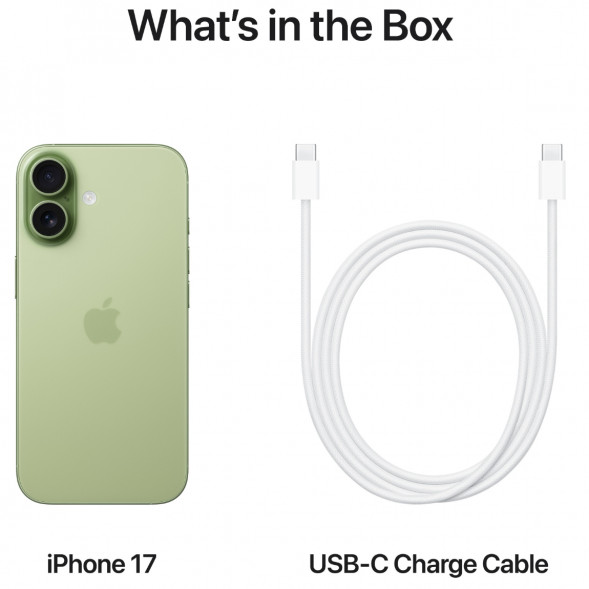 Смартфон Apple iPhone 17 256GB eSim, Sage в Хабаровске