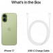 Смартфон Apple iPhone 17 256GB eSim, Sage в Хабаровске