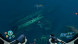 Игра Subnautica: Below Zero [PS5, русские субтитры] в Хабаровске