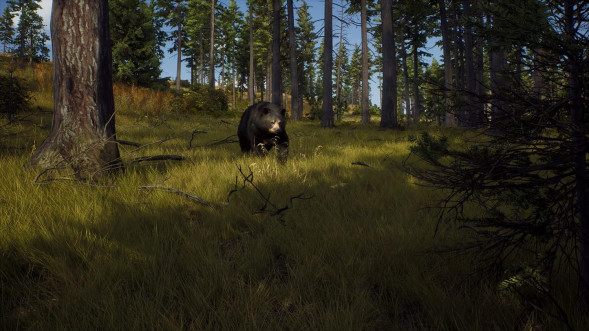 Игра Way of the Hunter [PS5, русские субтитры] в Хабаровске