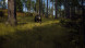 Игра Way of the Hunter [PS5, русские субтитры] в Хабаровске