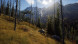 Игра Way of the Hunter [PS5, русские субтитры] в Хабаровске