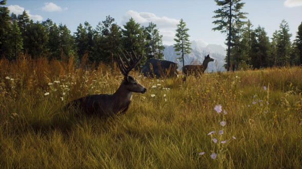 Игра Way of the Hunter [PS5, русские субтитры] в Хабаровске