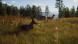 Игра Way of the Hunter [PS5, русские субтитры] в Хабаровске