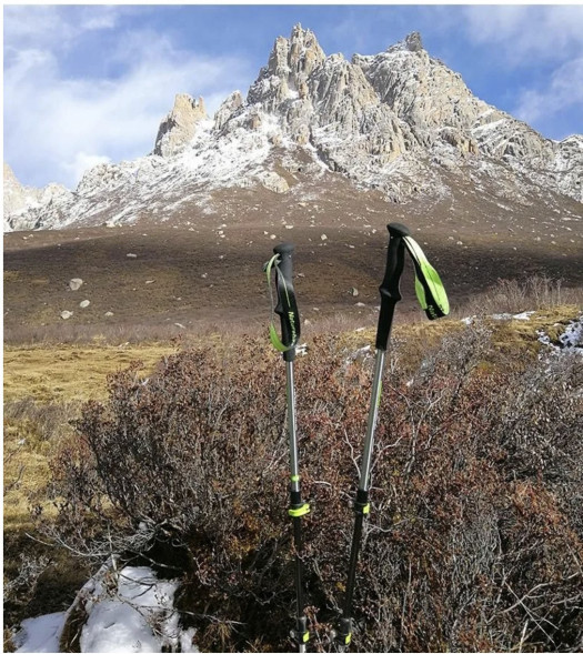 Треккинговая палка Naturehike 135 см, 1шт., серый/зеленый в Хабаровске