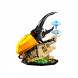 Конструктор LEGO Ideas 21342 Коллекция насекомых в Хабаровске