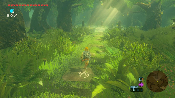 Игра The Legend of Zelda: Breath of the Wild [Nintendo Switch 2, русская версия] в Хабаровске