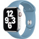 Ремешок для Apple Watch 40mm Northern Blue Sport Band (MYD02ZM/A), скандинавский синий в Хабаровске