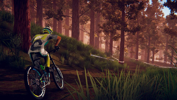 Игра Descenders [Nintendo Switch, английская версия] в Хабаровске