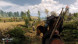 Игра Witcher 3: Wild Hunt (Ведьмак 3: Дикая Охота) Game of the year Edition [PS4, русские субтитры] в Хабаровске