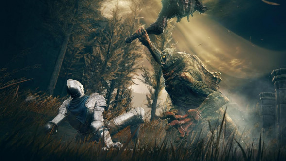 Игра Elden Ring: Shadow of the Erdtree Edition [PS5, русские субтитры] в Хабаровске