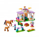 Конструктор LEGO Friends 41746 Horse Training в Хабаровске