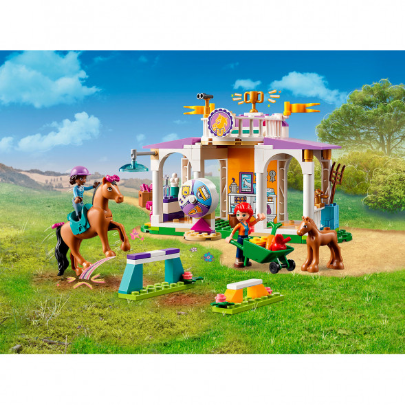 Конструктор LEGO Friends 41746 Horse Training в Хабаровске