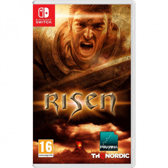 Игра Risen [Nintendo Switch, русская версия] в Хабаровске