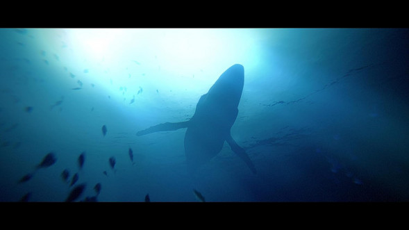 Игра Under The Waves [PS4, русские субтитры] в Хабаровске