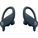 Беспроводные наушники Beats Powerbeats Pro, Navy (MY592ZM/A) в Хабаровске