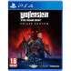Игра Wolfenstein Youngblood Deluxe Edition [PS4, русская версия] в Хабаровске