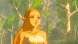Legend of Zelda: Breath of the Wild [NSwitch, Русская версия] в Хабаровске