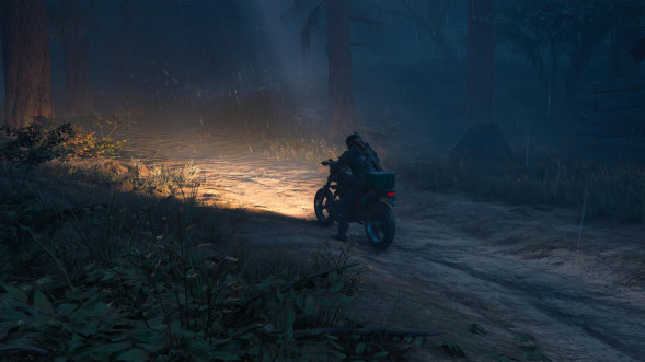 Игра Жизнь После (Days Gone) [PS4, русская версия] в Хабаровске