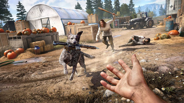 Игра Far Cry 5 [PS4, русская версия] в Хабаровске