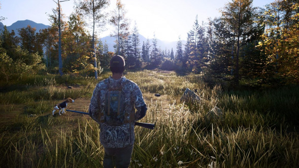 Игра Hunting Simulator 2 [PS5, английская версия] в Хабаровске