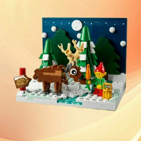 Конструктор LEGO 40484 Перед домом Деда Мороза в Хабаровске